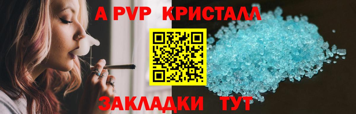 Alfa_PVP СК КРИС Благодарный