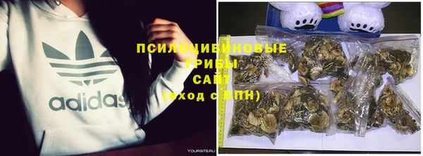 бошки Лихославль