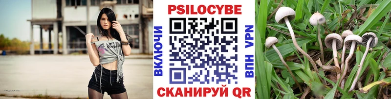 Галлюциногенные грибы MAGIC MUSHROOMS Благодарный