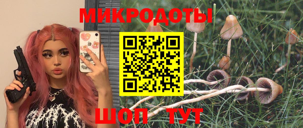 Благодарный  Псилоцибиновые грибы Psilocybe  даркнет сайт  Вход с VPN 