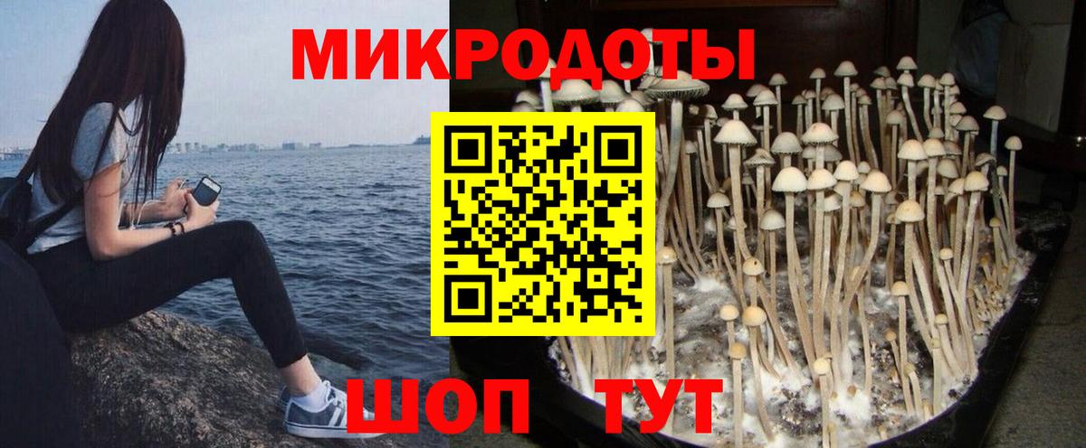 Галлюциногенные грибы Magic Shrooms Благодарный
