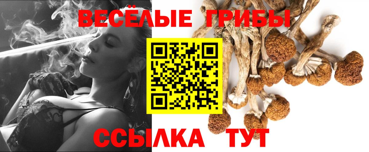 Псилоцибиновые грибы Psilocybe Благодарный