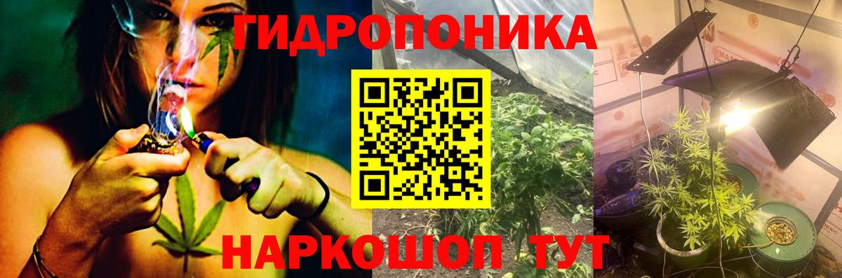 Марихуана индика  Вход с VPN  Благодарный  Конопля AK-47  Канабис марихуана  Канабис Ganja 